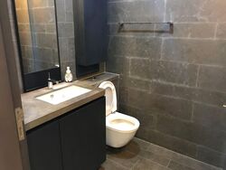 Skysuites@Anson (D2), Apartment #582310601